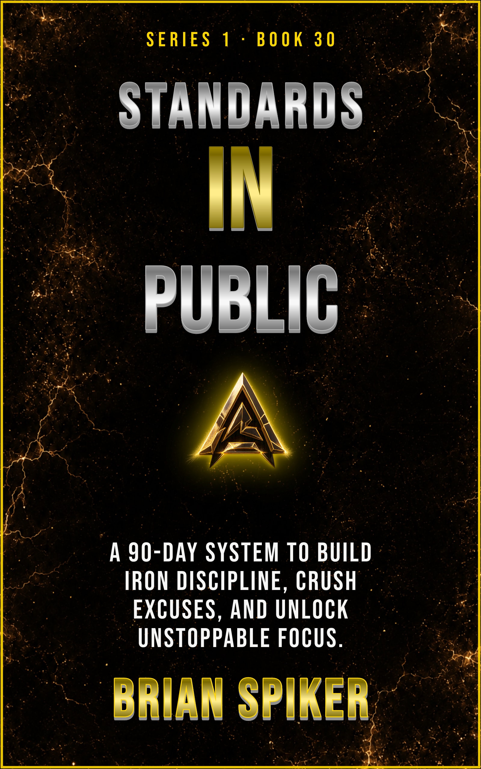 Standards In Public — book 30 of the Discipline series
