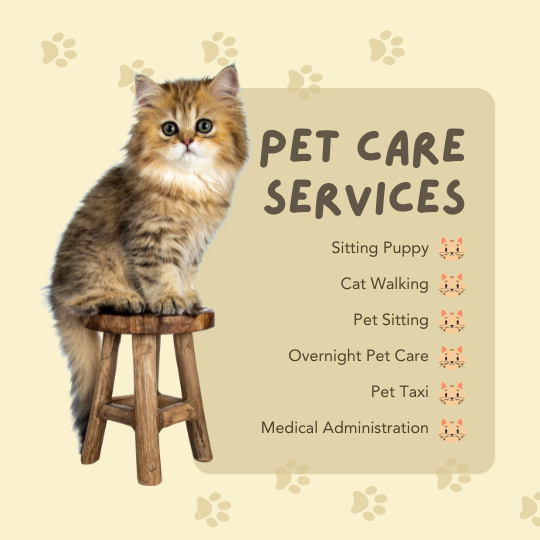 Pet Care Instagram Post