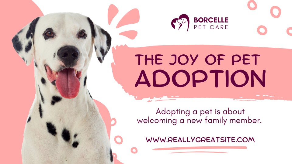 Pink And White Illustrative Adoption Pet Care Presentation