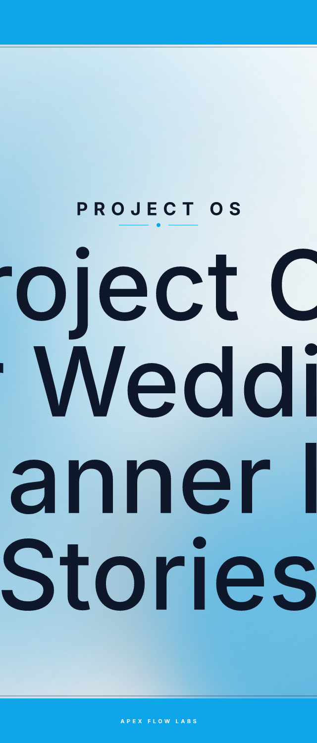 Project OS for Wedding Planner IG Stories