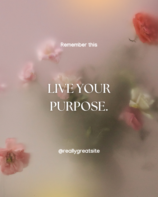 Pink Aesthetic Feminine Inspirational Motivational Quote Instagram Post — A set of Canva templates for creating pink, feminine Instagram posts with inspirational quotes. Designed for influencers